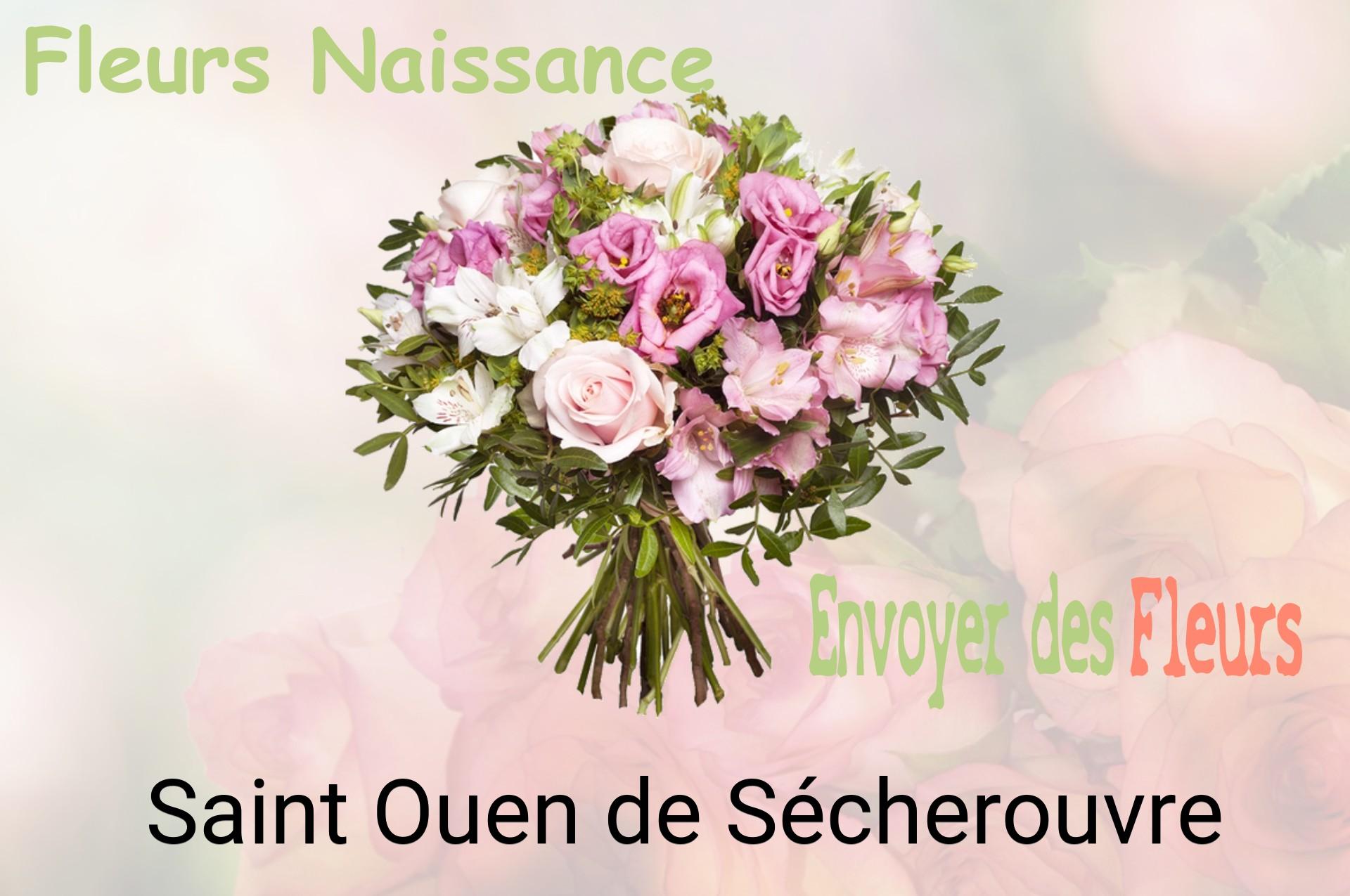 Bouquet de fleurs de naissance livré à Saint-Ouen-de-Sécherouvre